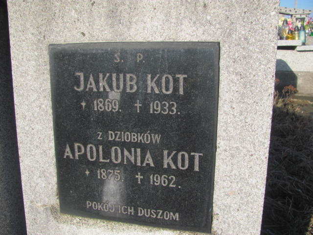 Apolonia Kot 1875 Woźniki - Grobonet - Wyszukiwarka osób pochowanych